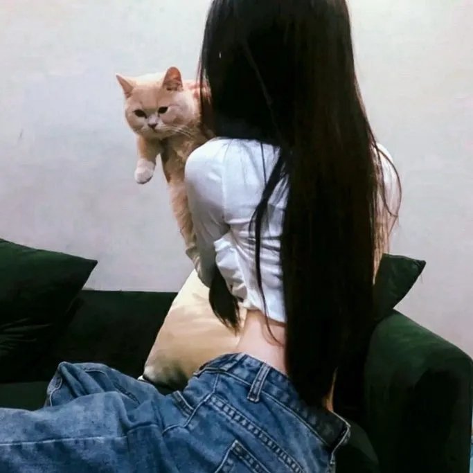 综艺节目